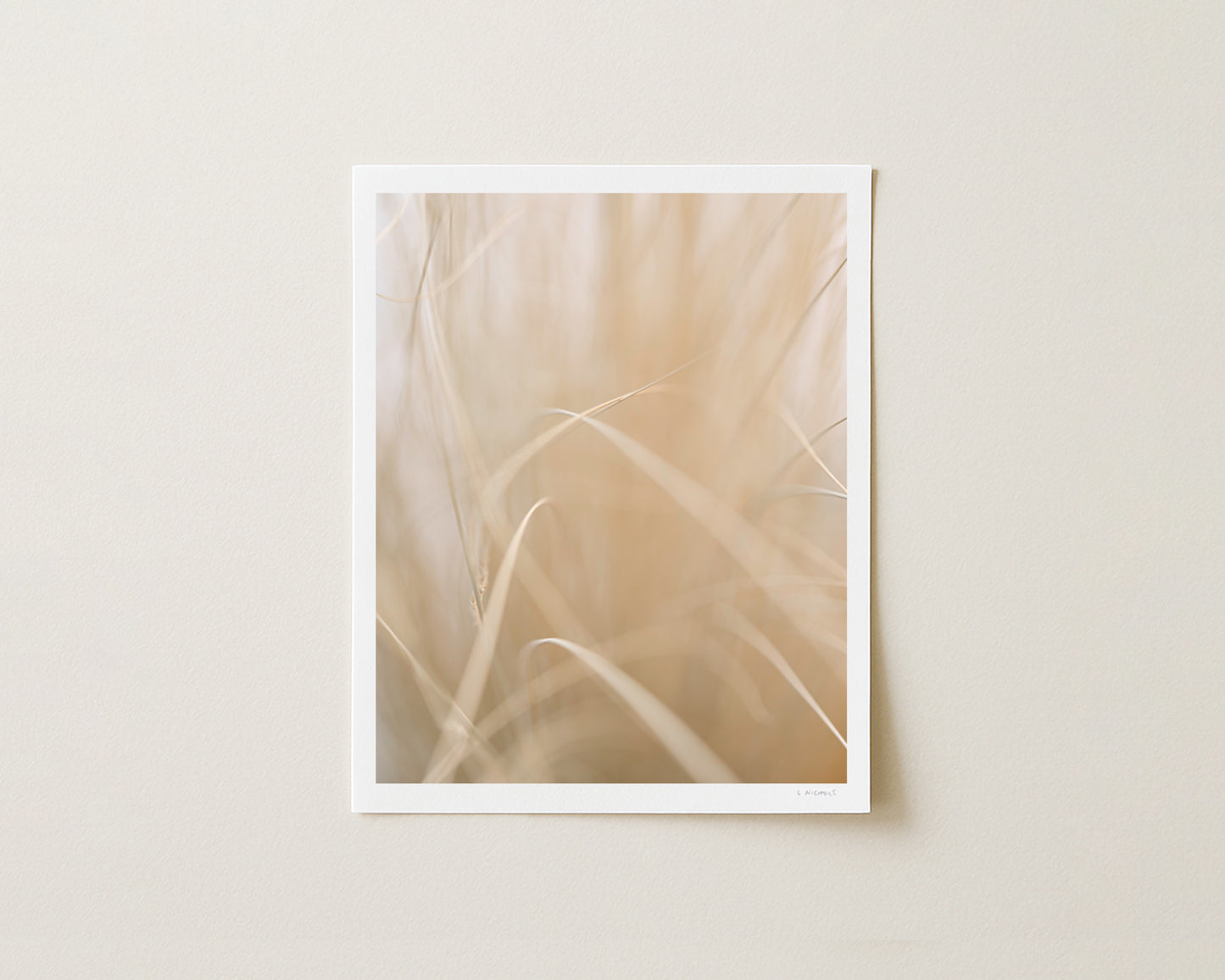 AUTUMN SILK II - 10x8 Print