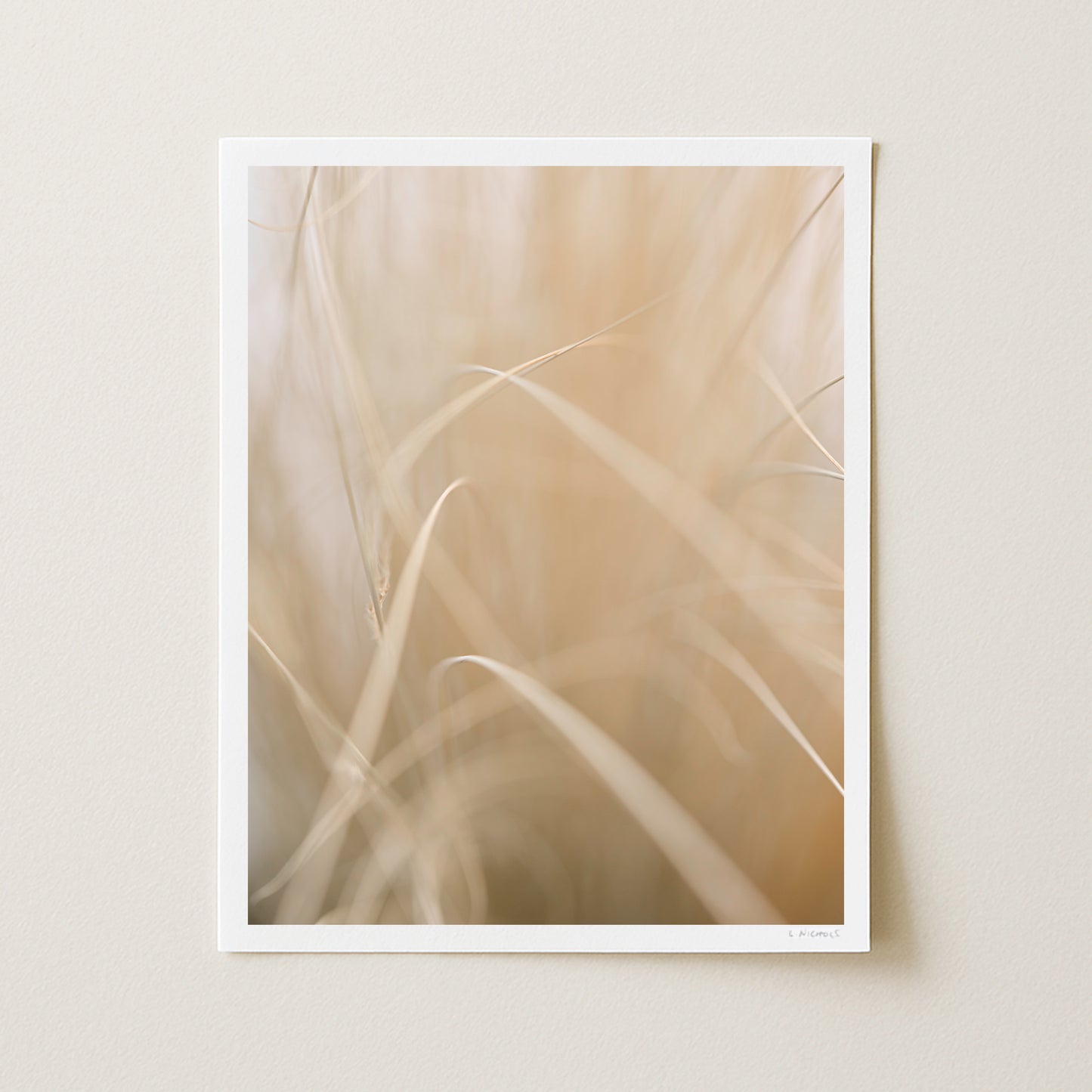AUTUMN SILK II - 20x16 Print
