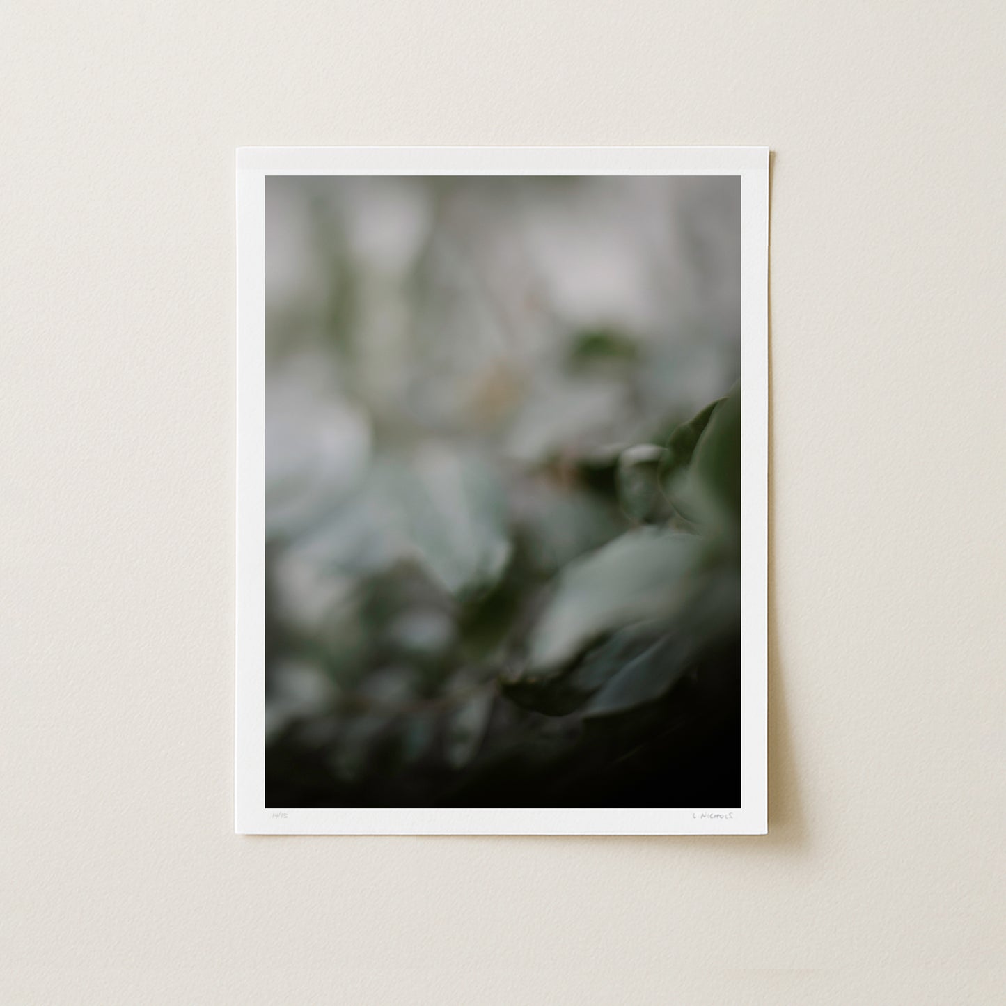 EMERGING III - 16x12 Print