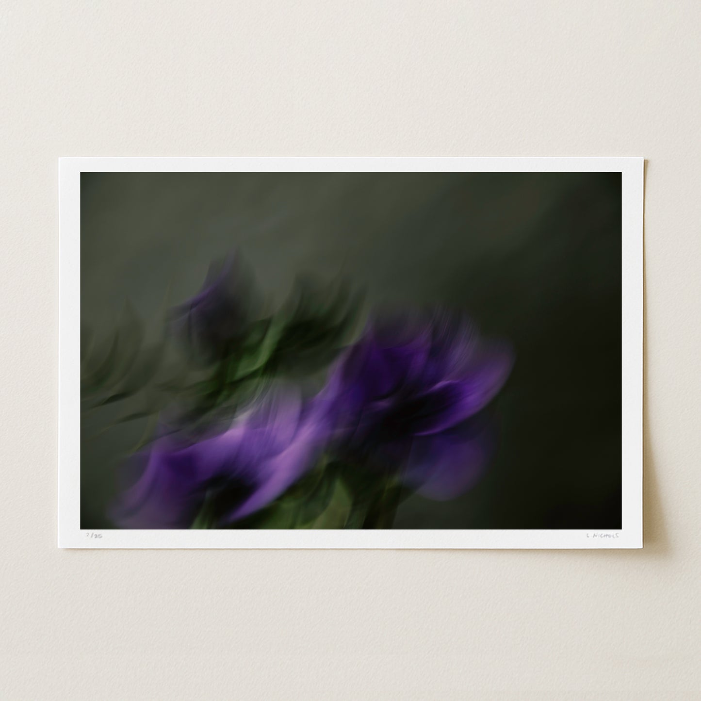 HELD STILL (edition 2/25) - 12x18 Print