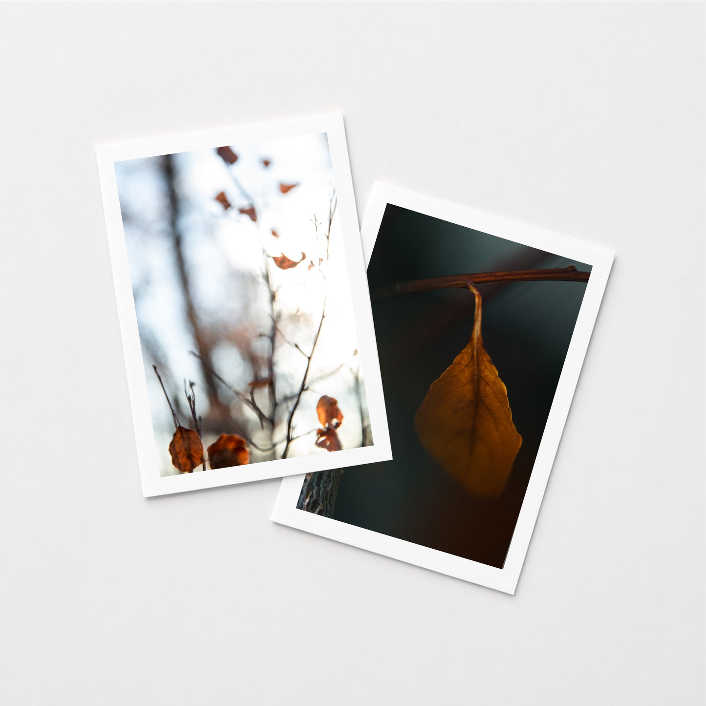 LIMINAL II & WHAT REMAINS I - set of 7x5 Prints