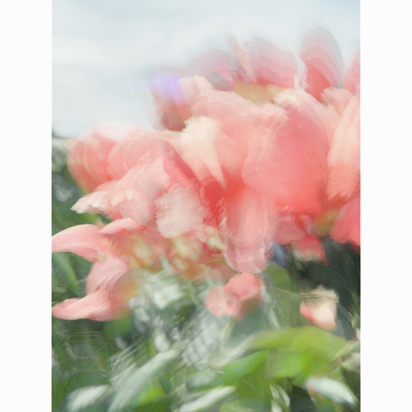 Faithful Dream I