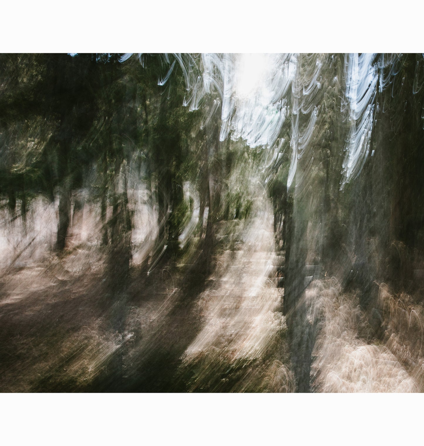 02.12.26 | Limited Edition (of 25)