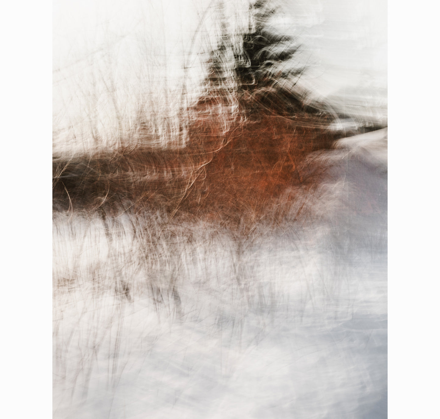 02.21.26 | Limited Edition (of 25)