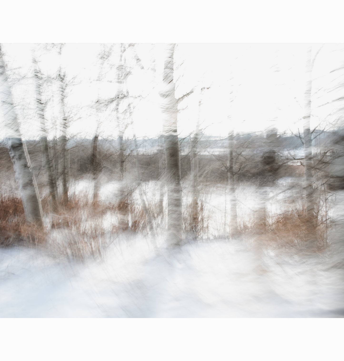 02.24.26 | Limited Edition (of 25)