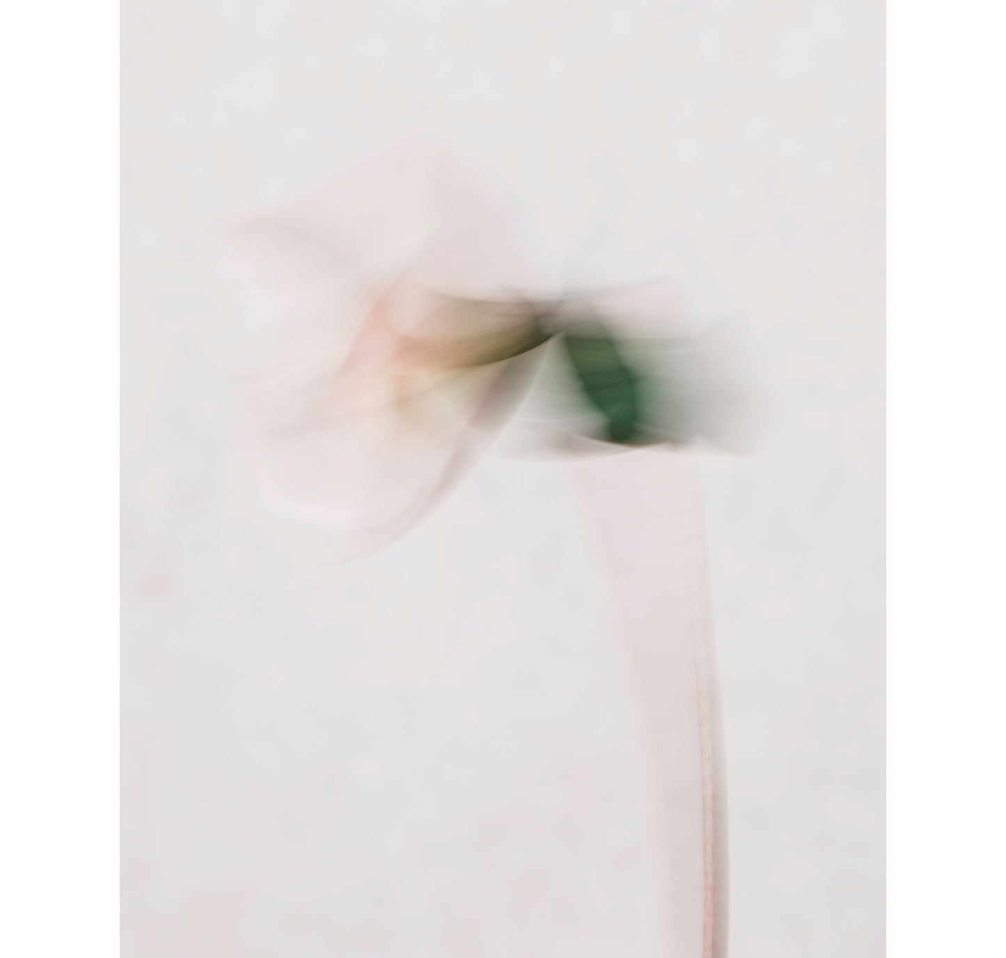 AT REST | Limited Edition (of 25)