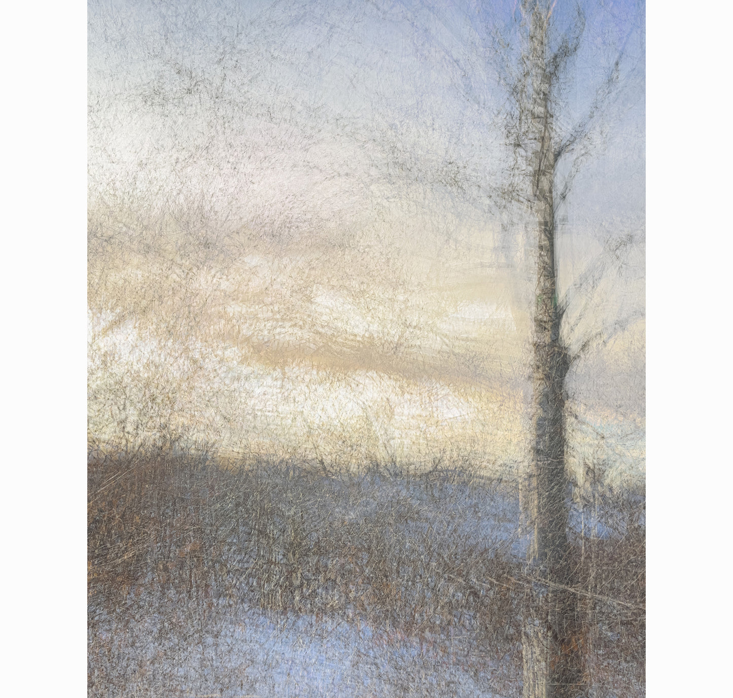 EARLY THAW II | Limited Edition (of 25)