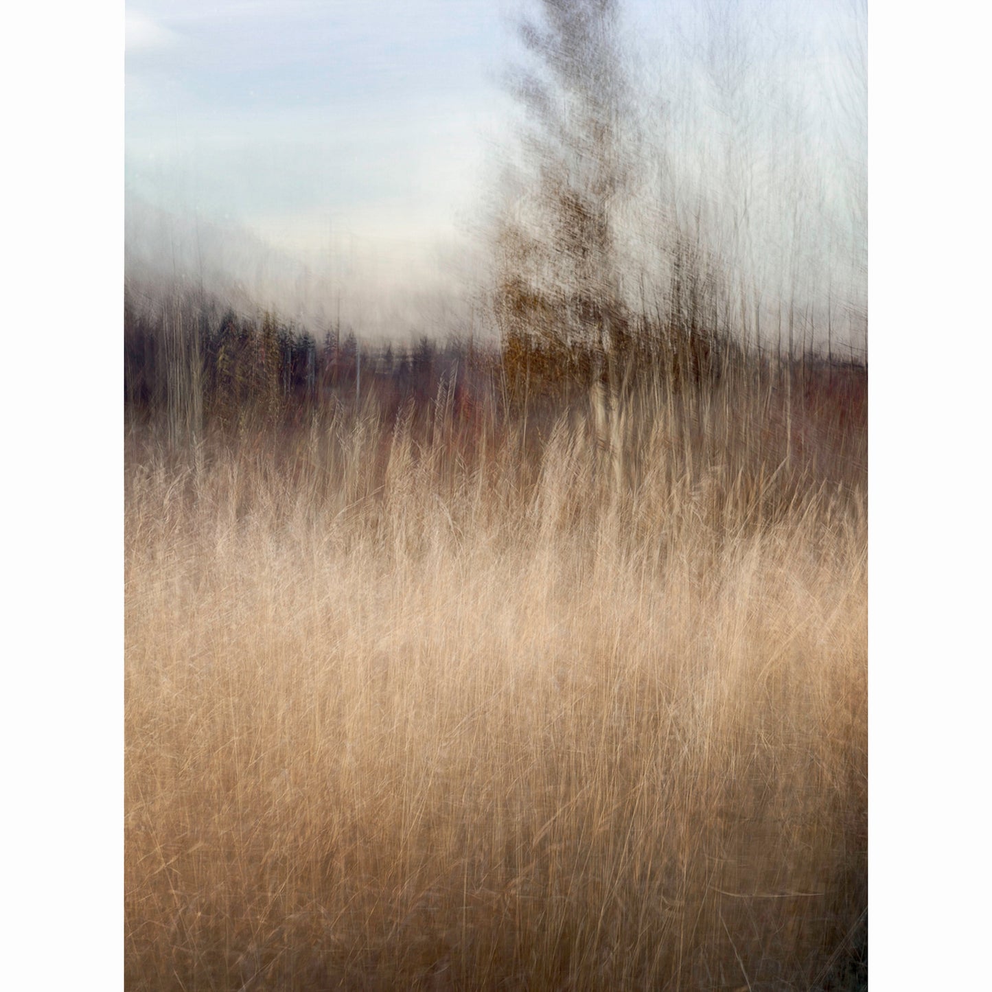 HOLDING LIGHT - Limited Edition (of 25)