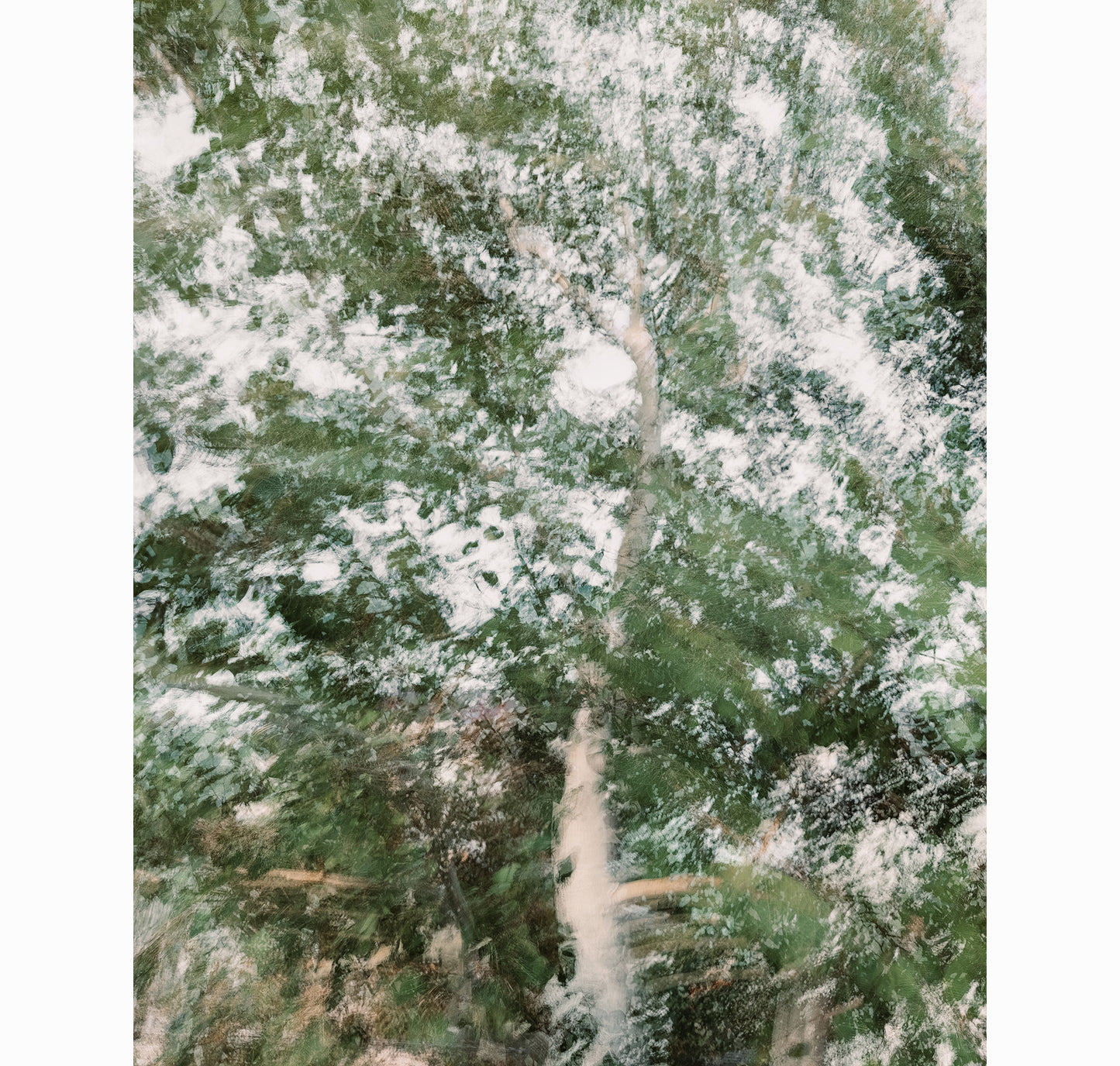 IN SUMMER MOTION II | Limited Edition (of 25)