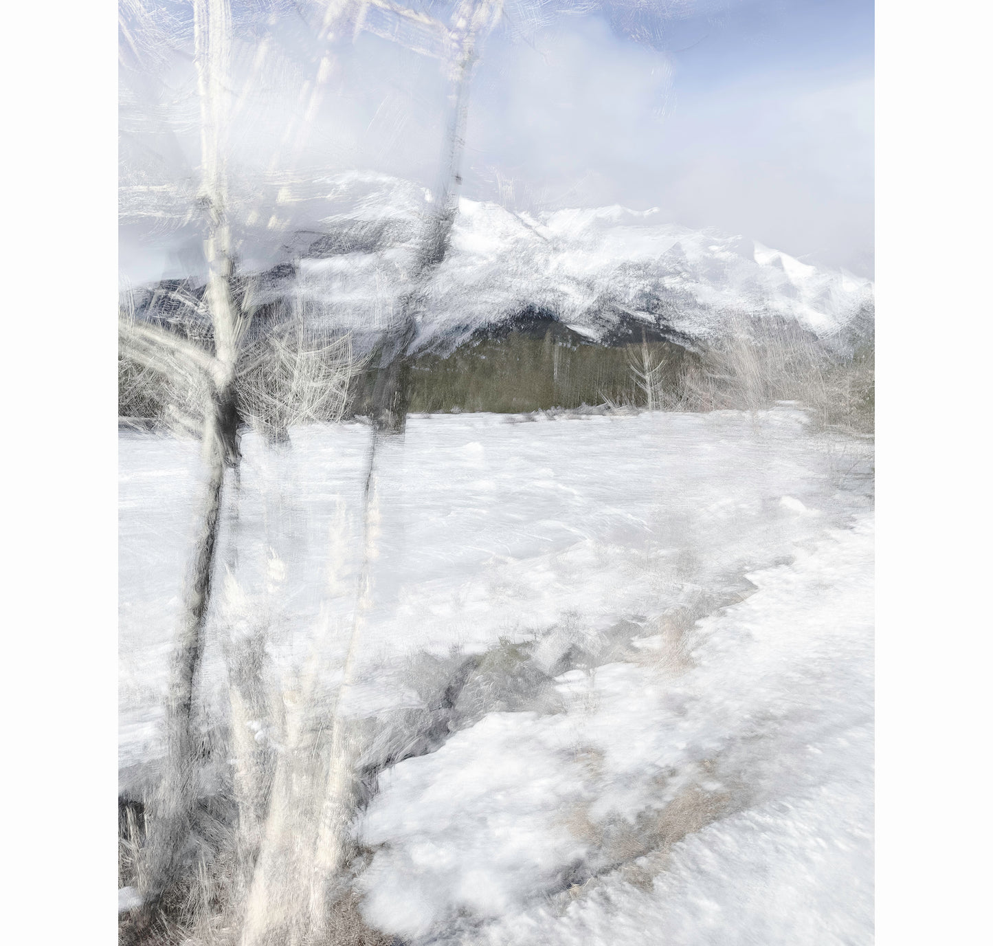 WINTER WALK II