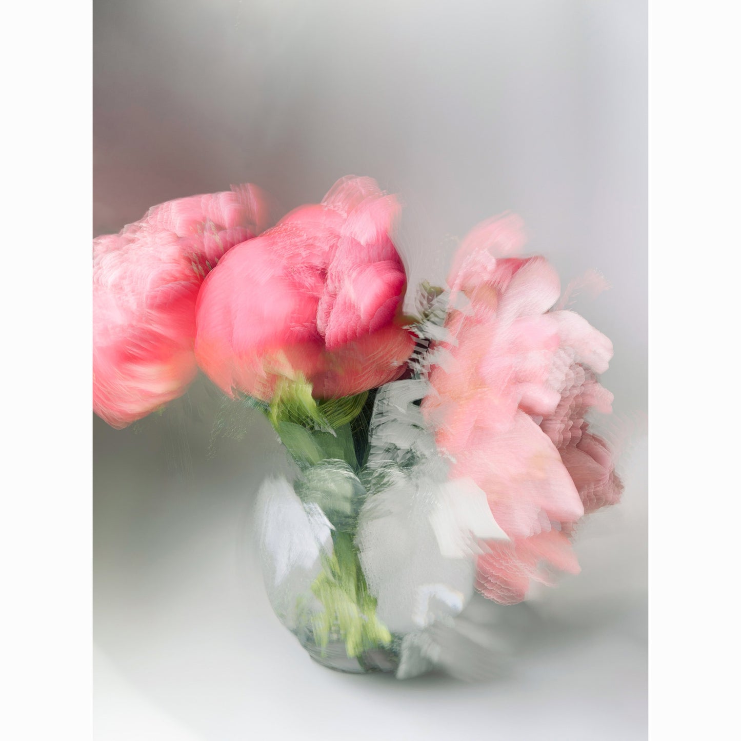 Peony II