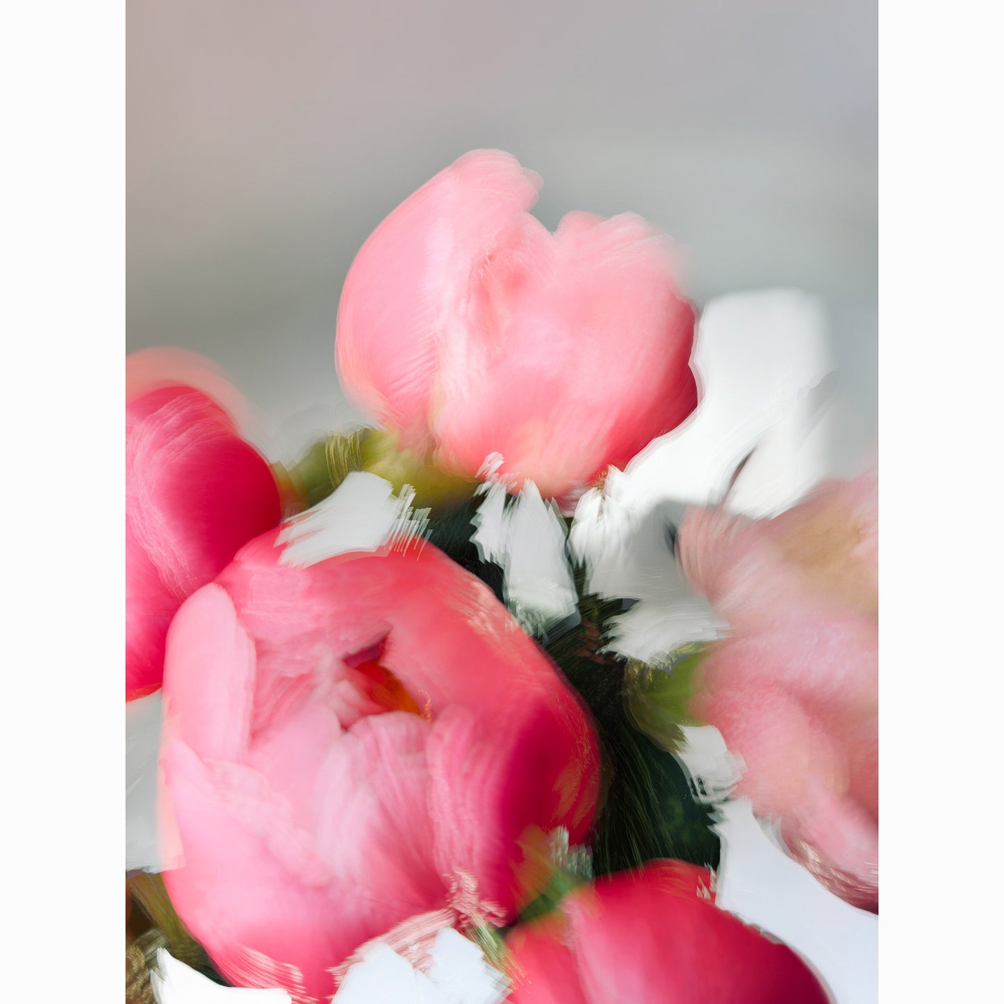 Peony IV