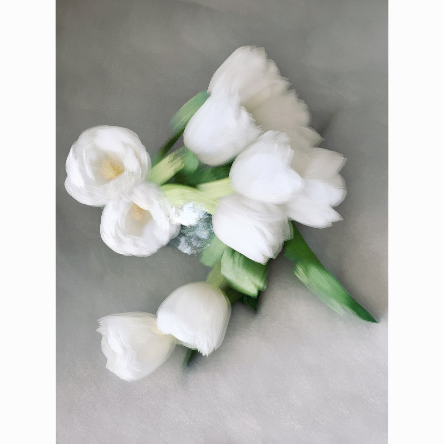 White Tulips II