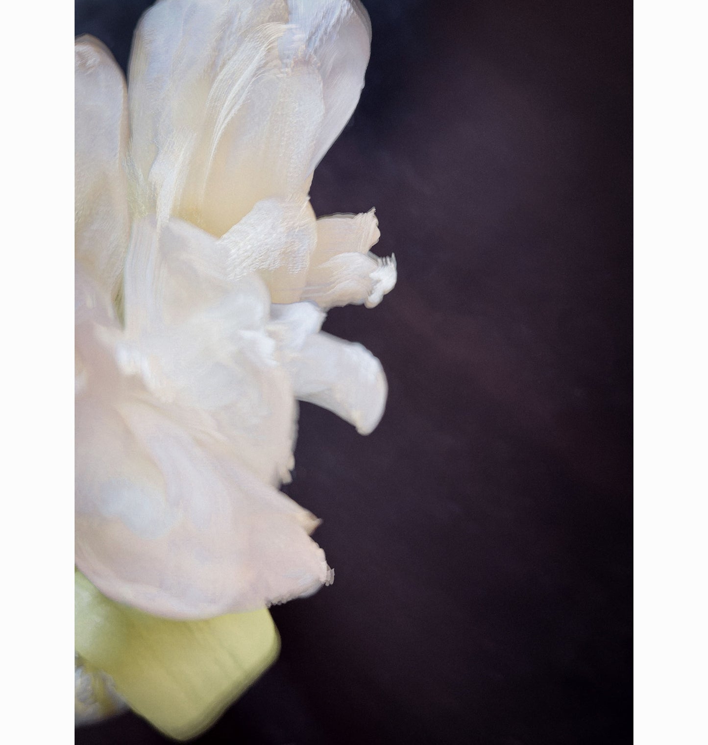 04.19.24