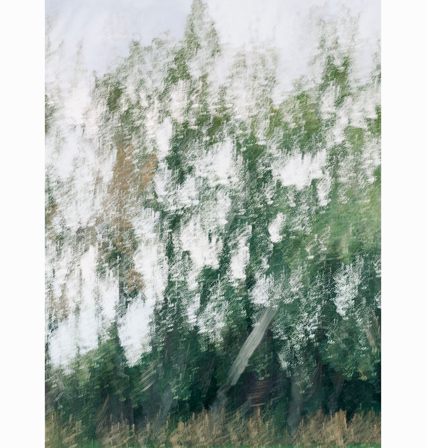 08.17.24