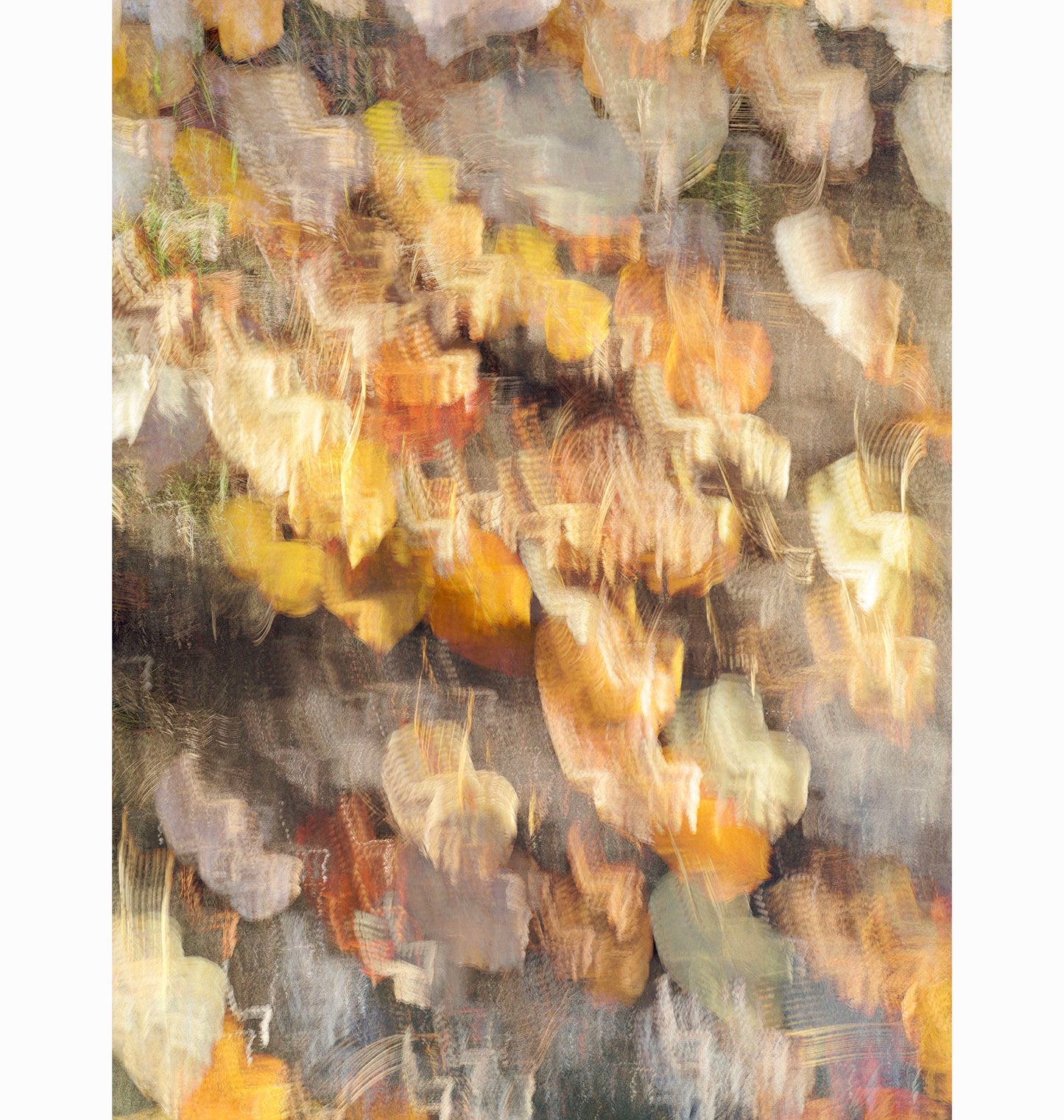 10.15.24