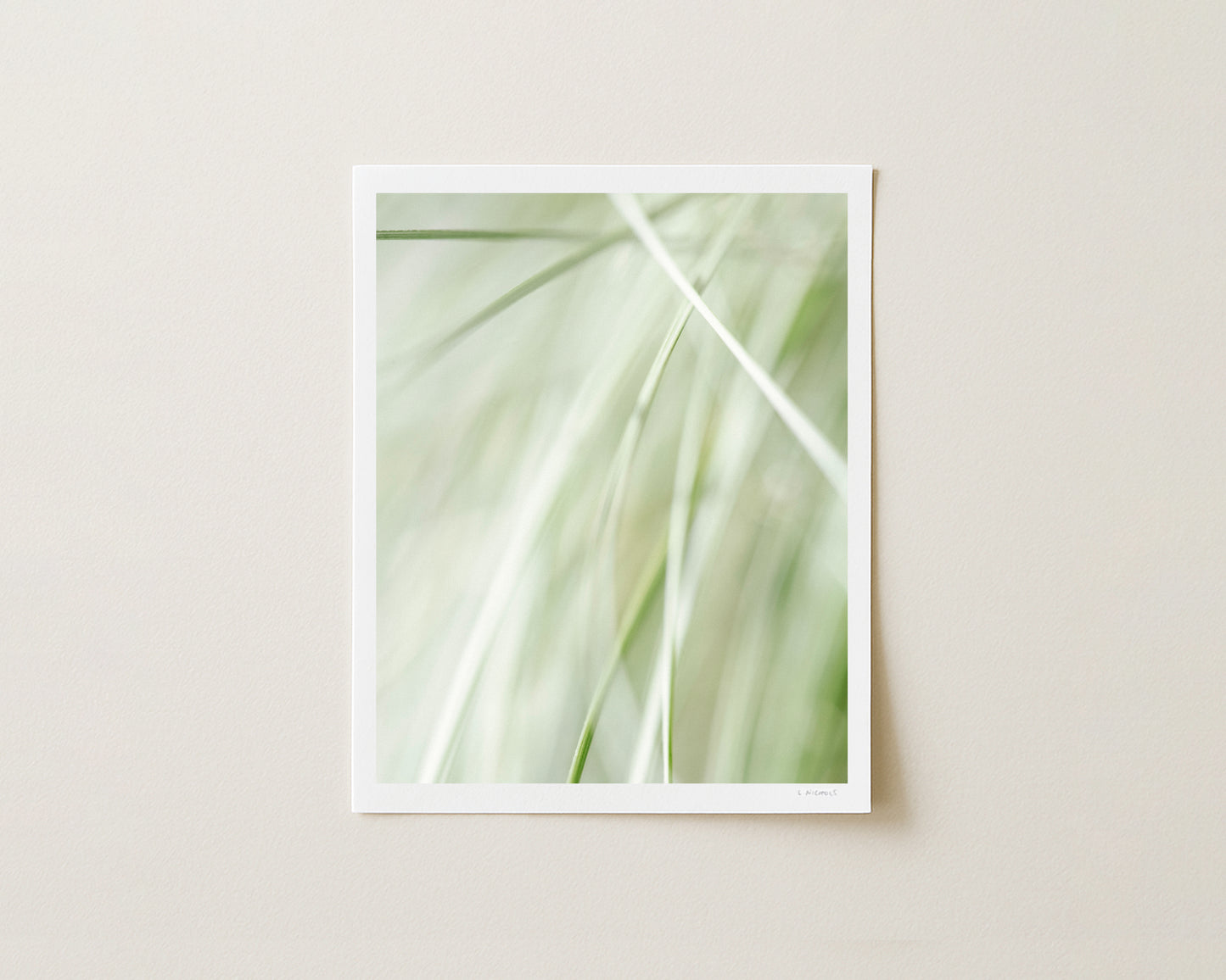MORNING WHISPER II - 10x8 Print
