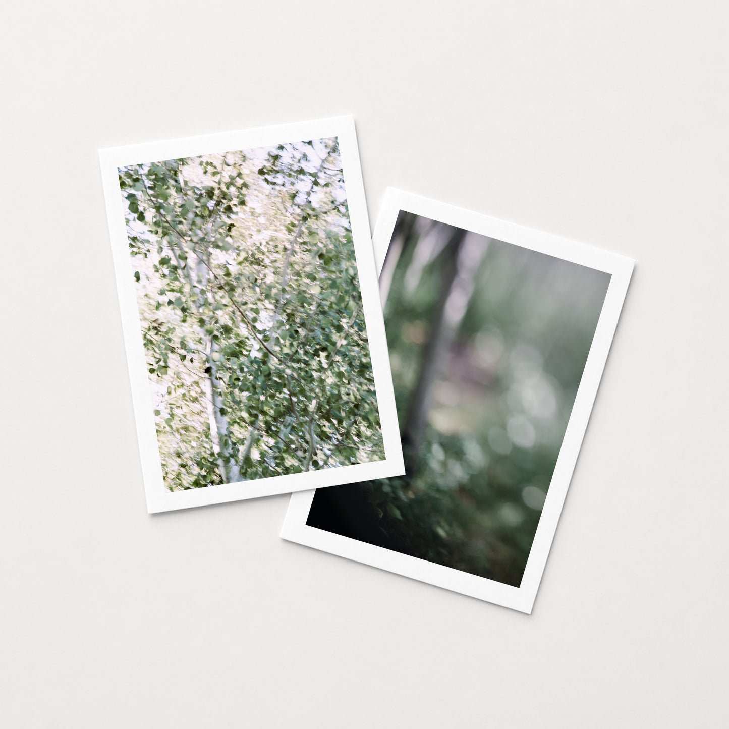 QUAKING ASPENS I & POPLAR SKEW I - set of 7x5 Prints