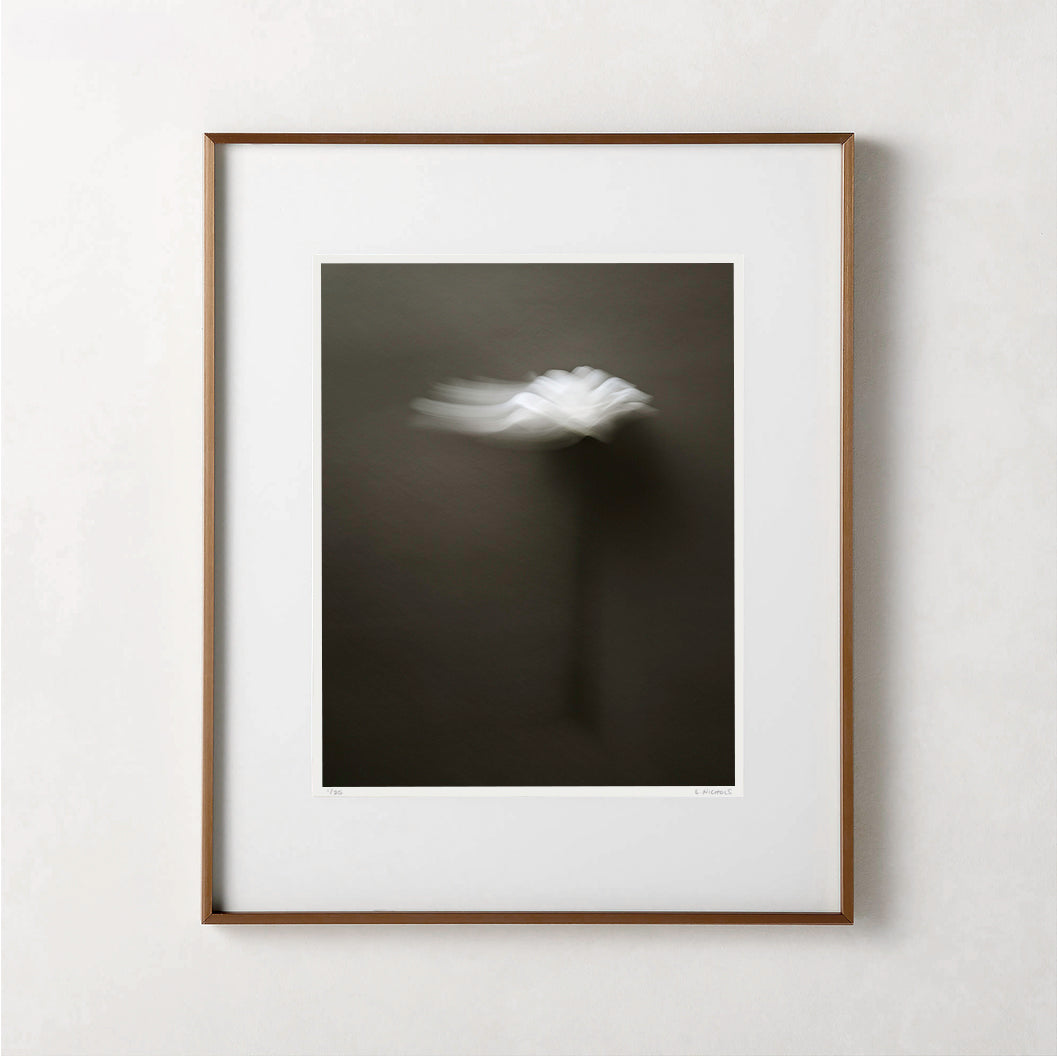 UNWAVERING (edition 1/25) - 20x16 Framed Print