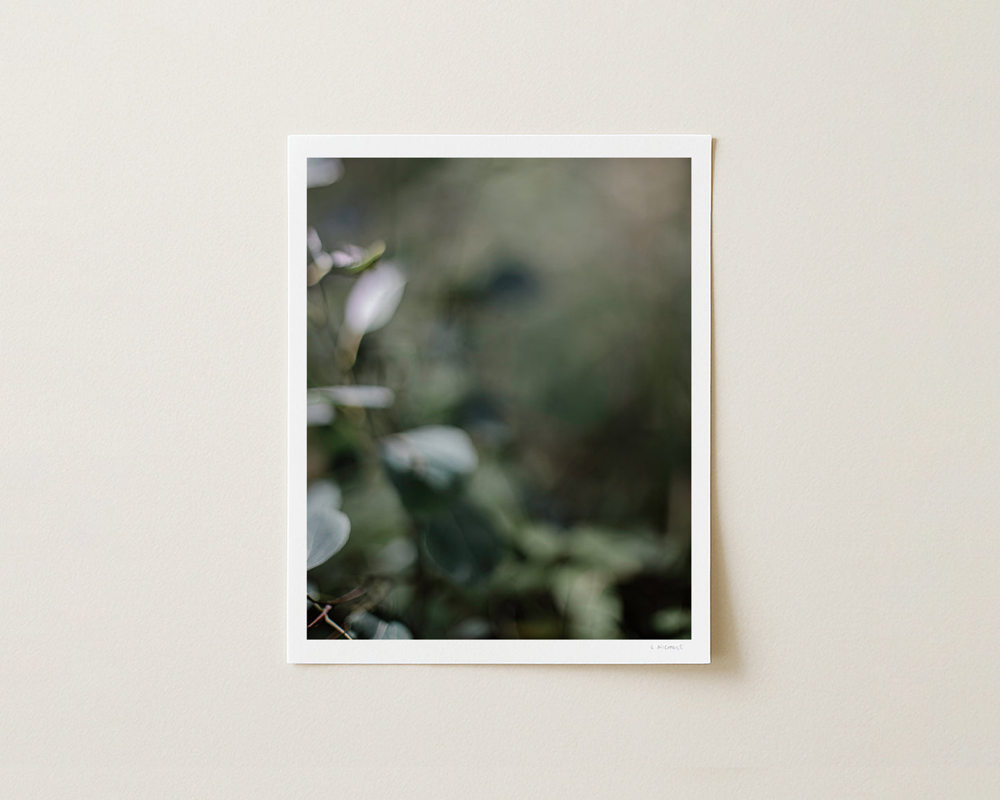 WOODLANDS II - 10x8 Print