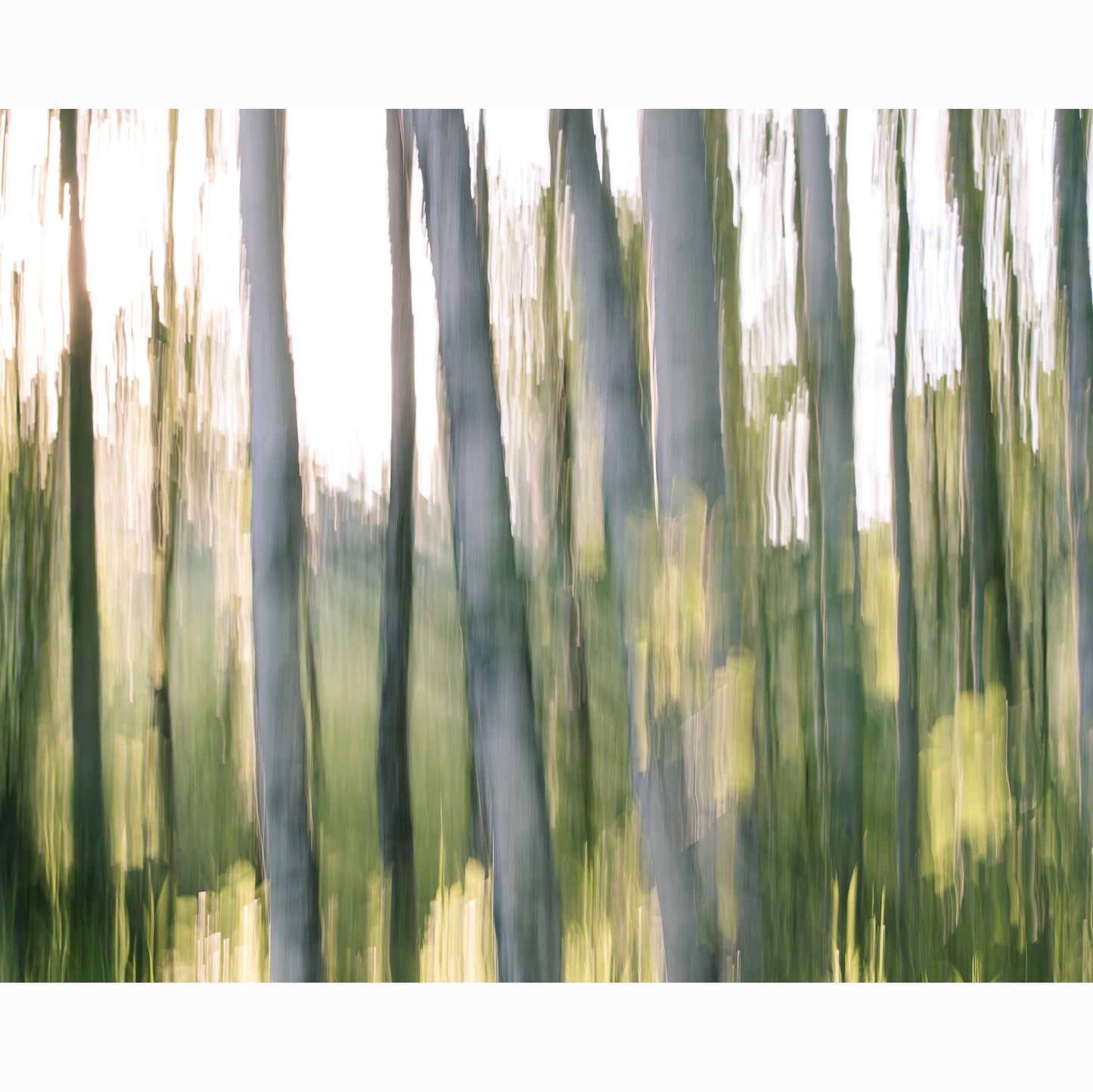 ASPEN GROVE III