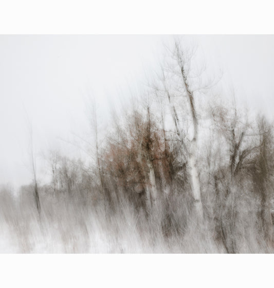 01.01.26 | Limited Edition (of 25)