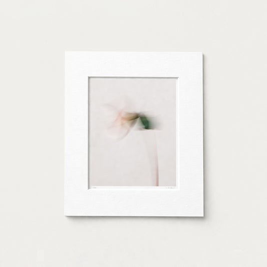 AT REST (edition 1/25) - 10x8 Matted Print