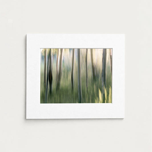 ASPEN GROVE I - 12x16 Matted Print