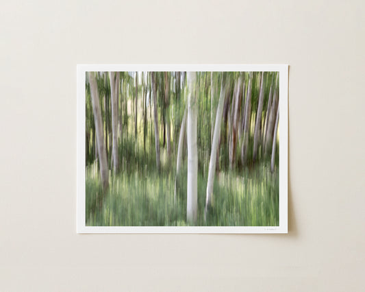 ASPEN GROVE II - 8x10 Print