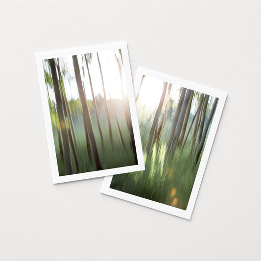 ASPENS I & II -set of 7x5 Prints