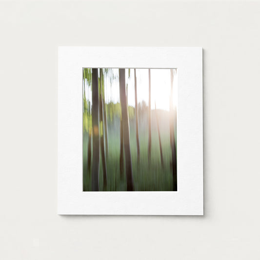 ASPENS III - 16x12 PRINT