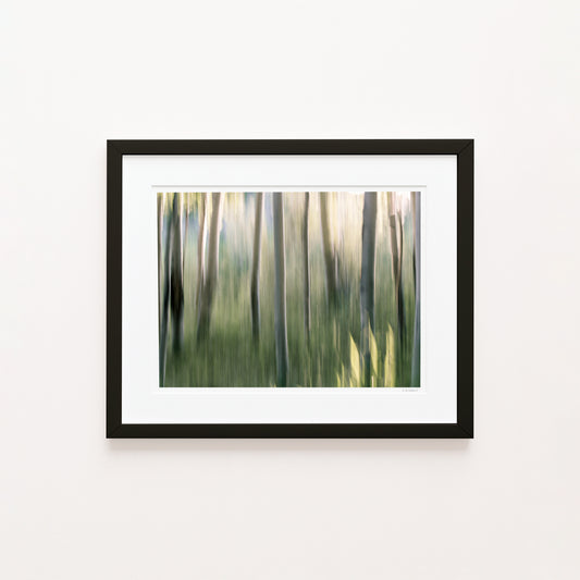 ASPEN GROVE I - 16x12 Framed Print