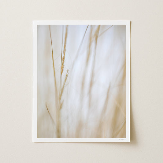 AUTUMN SILK I - 20x16 Print
