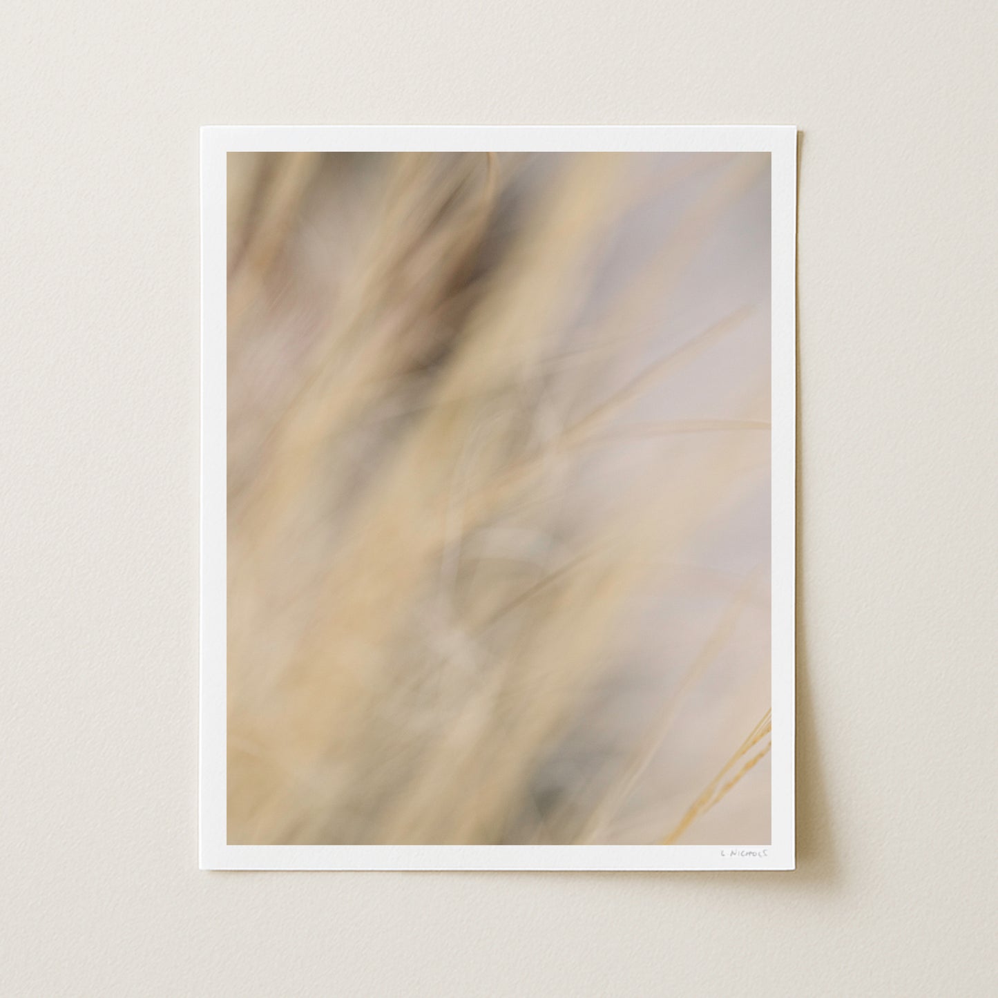AUTUMN SILK III - 20x16 Print