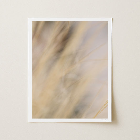 AUTUMN SILK III - 20x16 Print