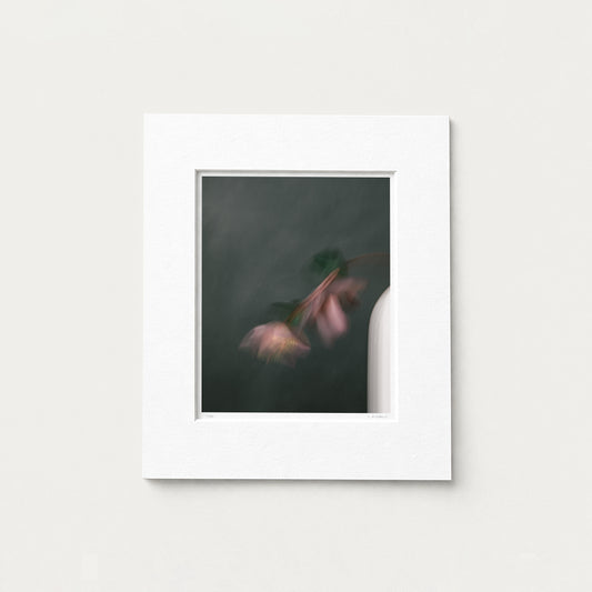 BOWED (edition 1/25) - 10x8 Matted Print