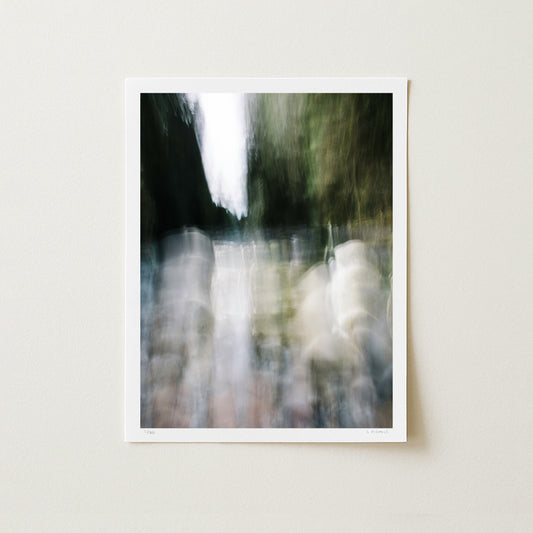 CANYON ECHO II - 16x12 Print