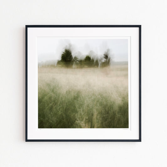 FIELD OF MEMORY (edition 1/25) - 10x10 Framed Print