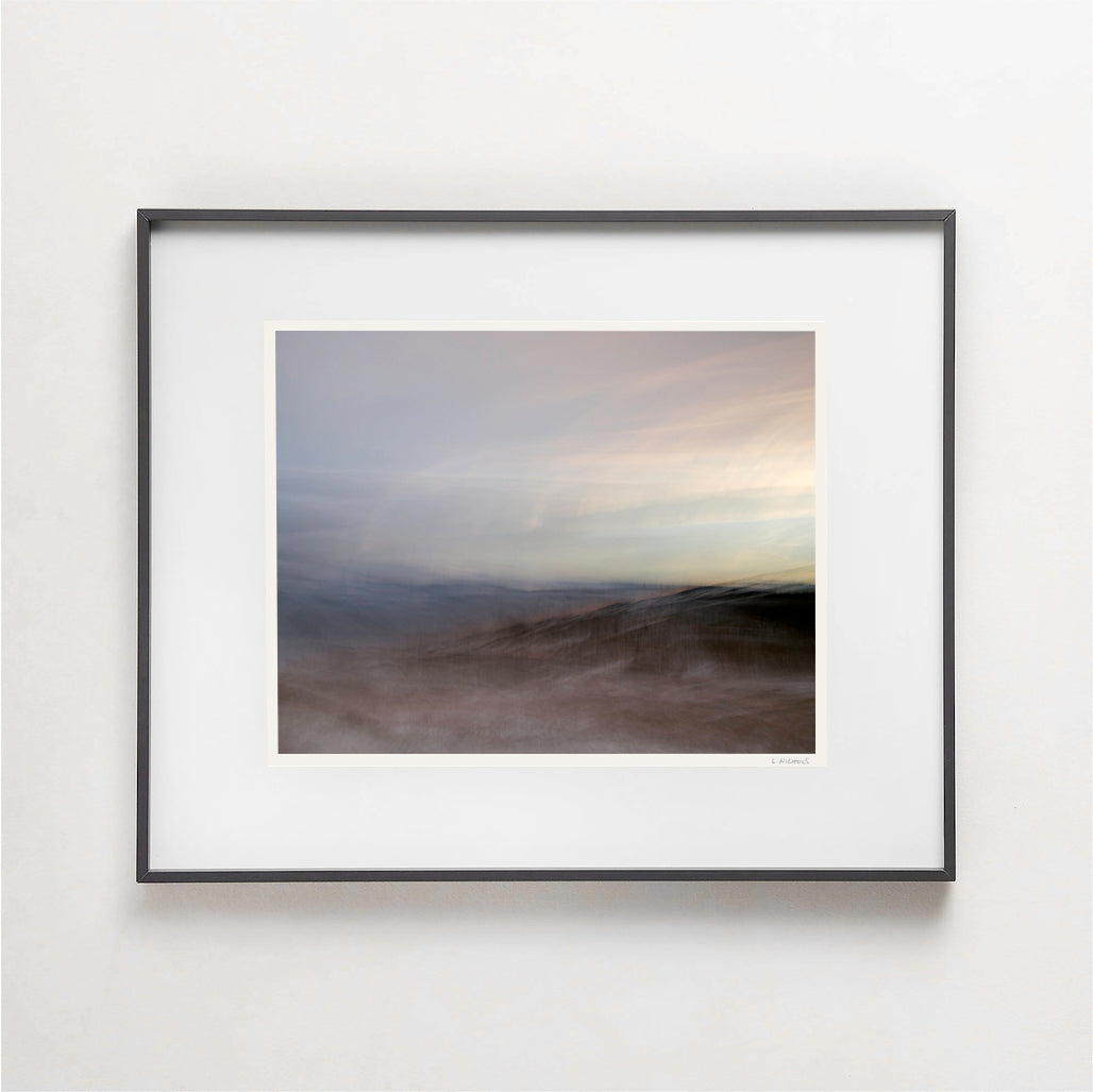 FLEETING - 16x20 Framed Print