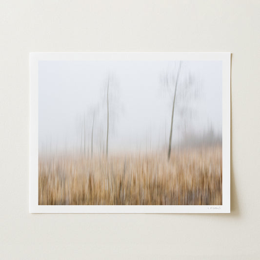 GHOSTS OF NOVEMBER II - 16x20 Print