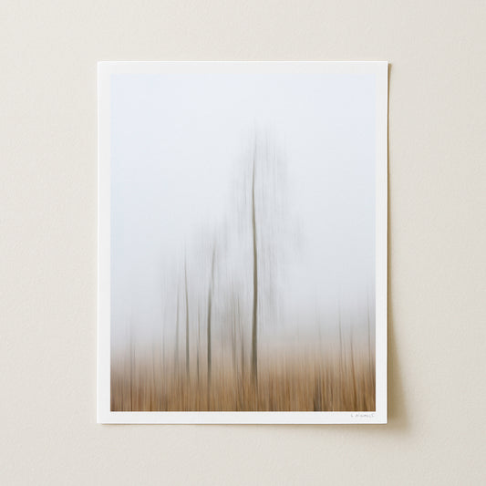 GHOSTS OF NOVEMBER I - 20x16 Print