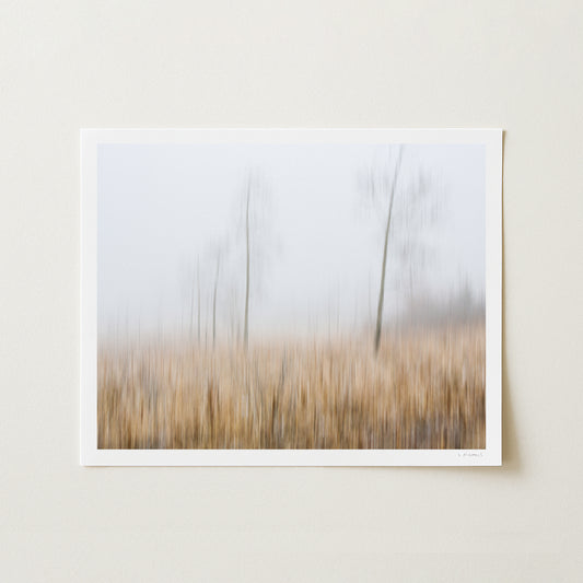 GHOSTS OF NOVEMBER II - 11x14 Print