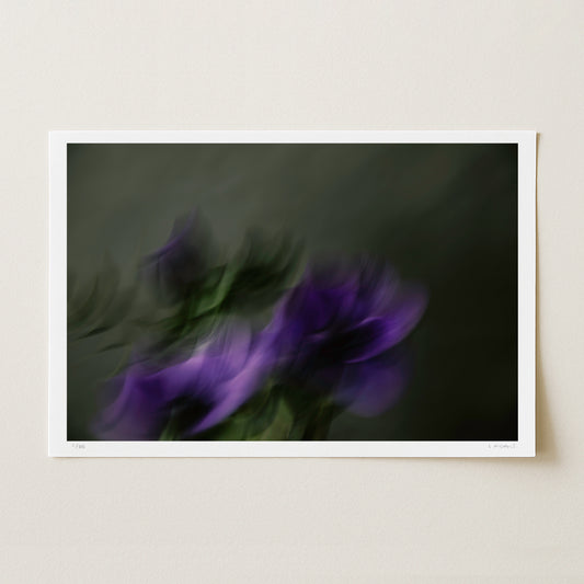 HELD STILL (edition 2/25) - 12x18 Print