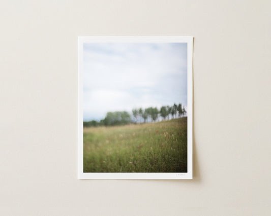 LEIGHTON I - 10x8 Print
