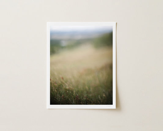 LEIGHTON II - 10x8 Print