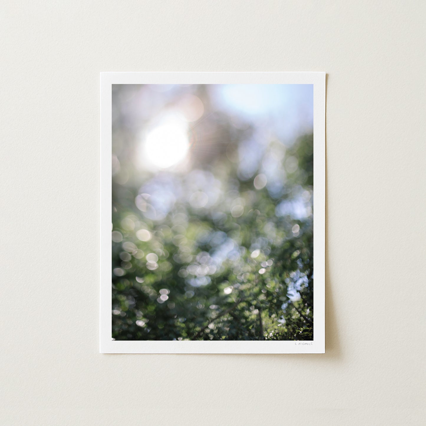 LIGHT DANCE III - 14x11 Print