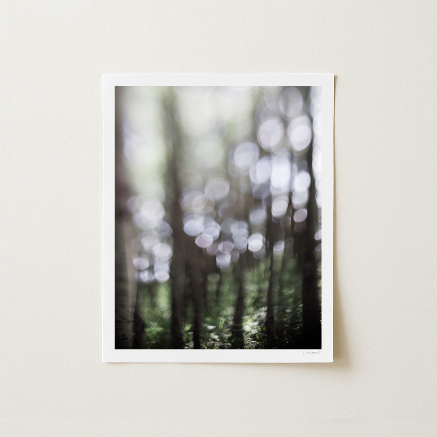 LIGHT DANCE IV - 14x11 Print