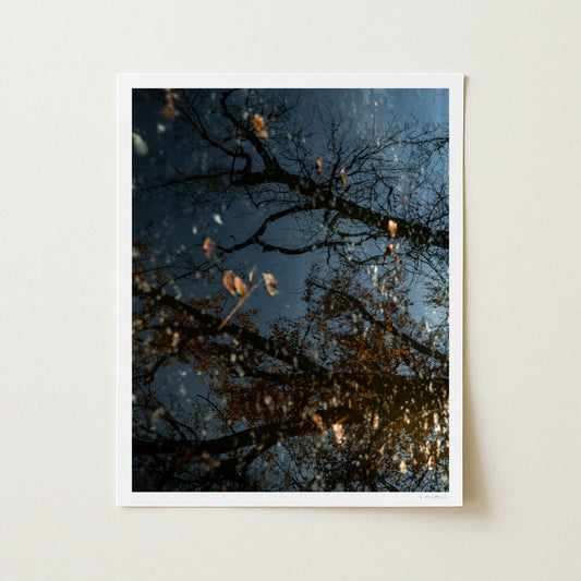 LIMINAL I - 20x16 Print