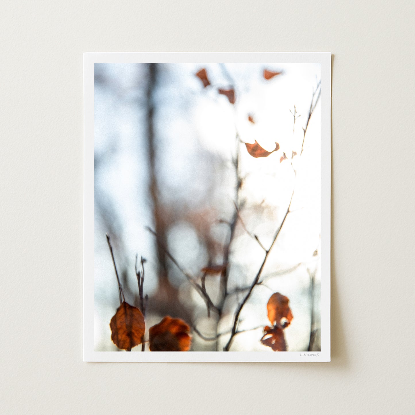 LIMINAL II - 20x16 Print