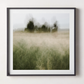 FIELD OF MEMORY | Limited Edition (of 25)